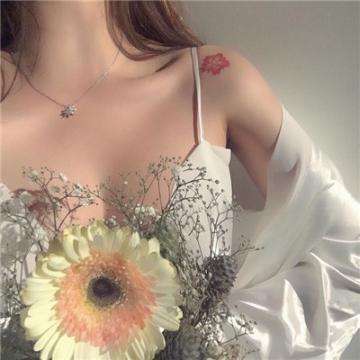 波胆app官网手机app下载